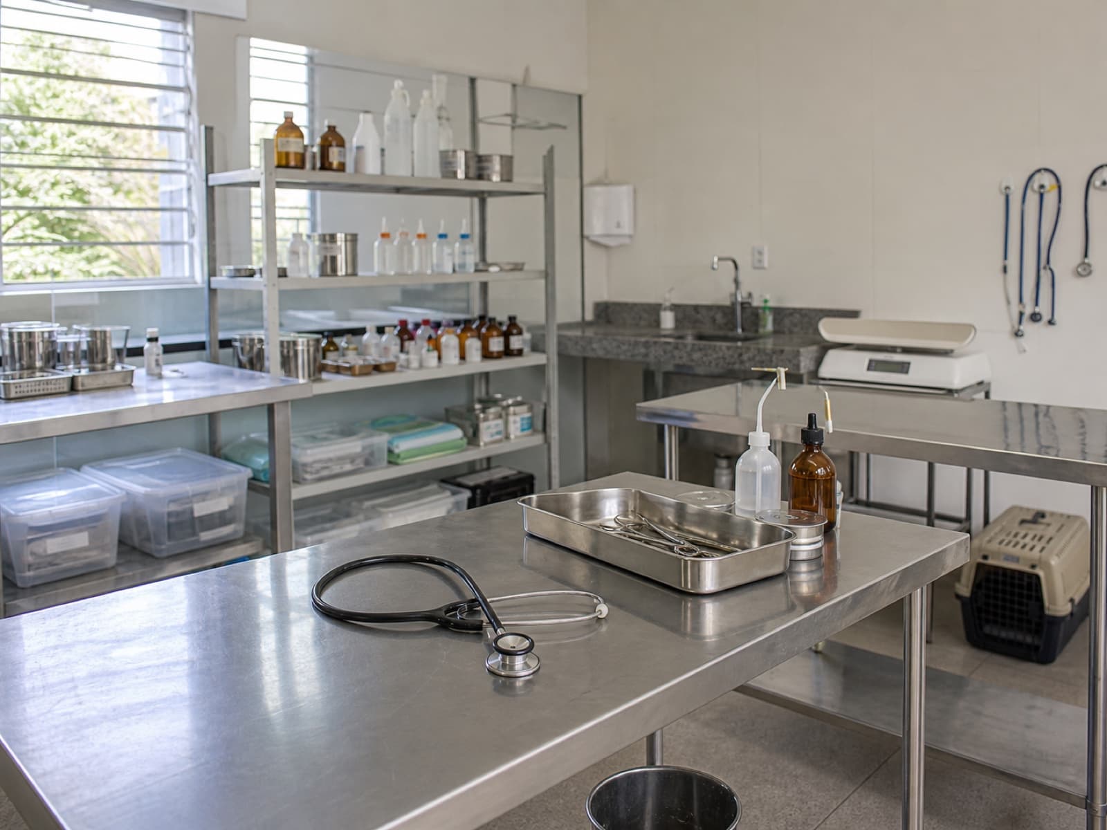 Ambiente didático de clínica veterinária com mesa de inox, estetoscópio e instrumentais.